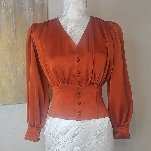 Brown Fitted Puff Sleeve Blouse - Picture 1 of 12